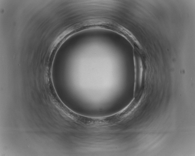X0000071900786200607071105