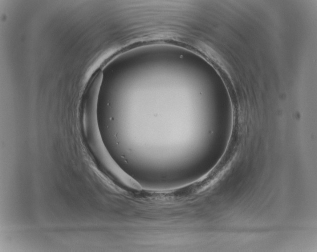 X0000071900789200607071105