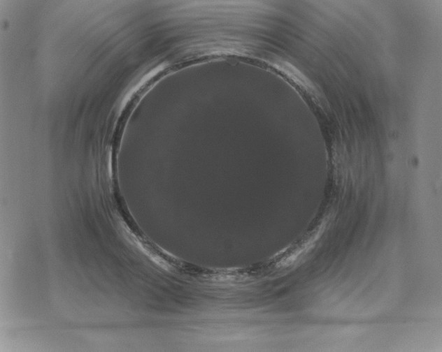 X0000071900790200607071105