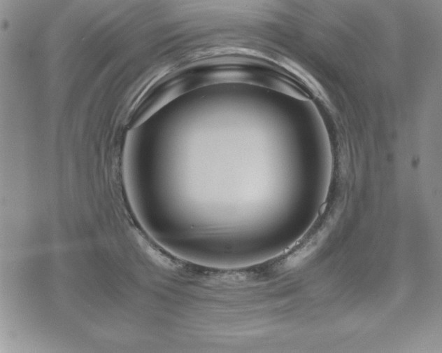 X0000071900801200607071105