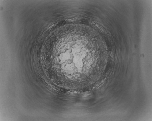 X0000071900817200607071104