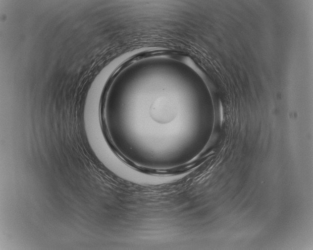 X0000071900818200607071104
