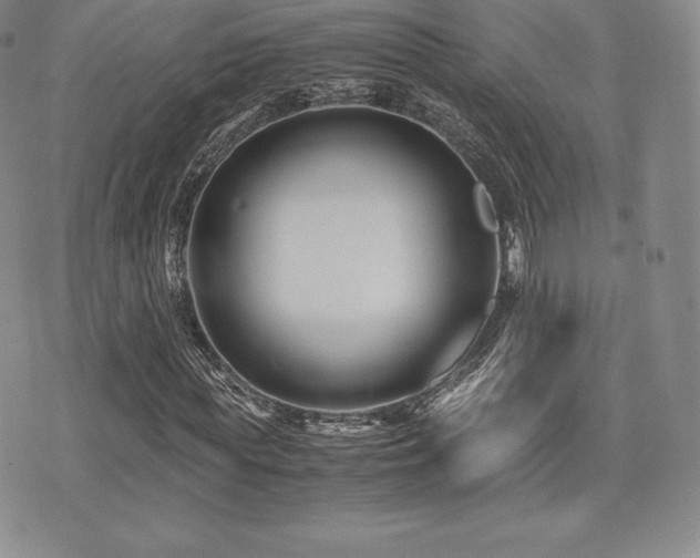 X0000071900819200607071104