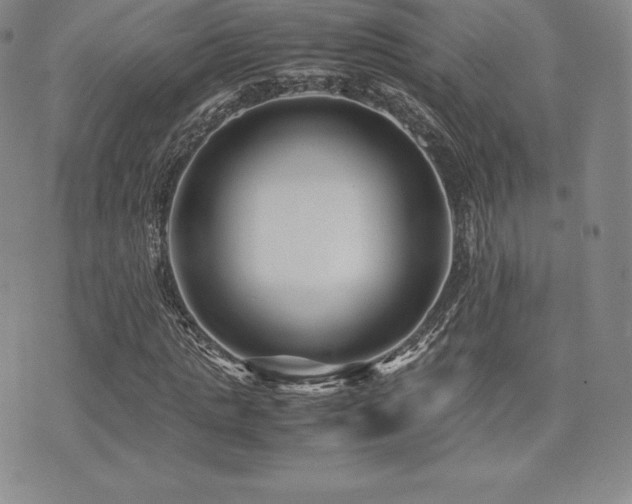 X0000071900821200607071104