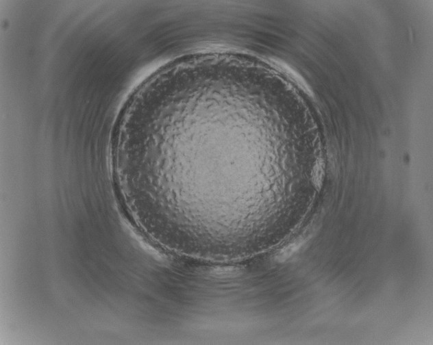 X0000071900839200607071105