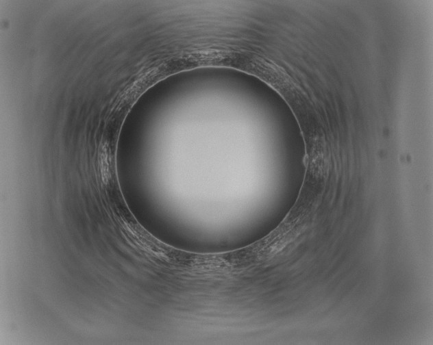 X0000071900866200607071104
