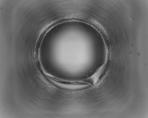 X0000071900876200607071104