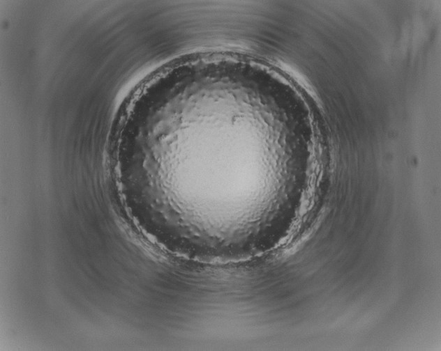 X0000071900928200607071103