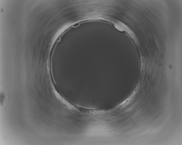X0000071900958200607071103