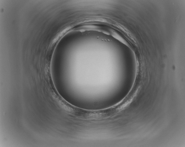 X0000071900985200607071102