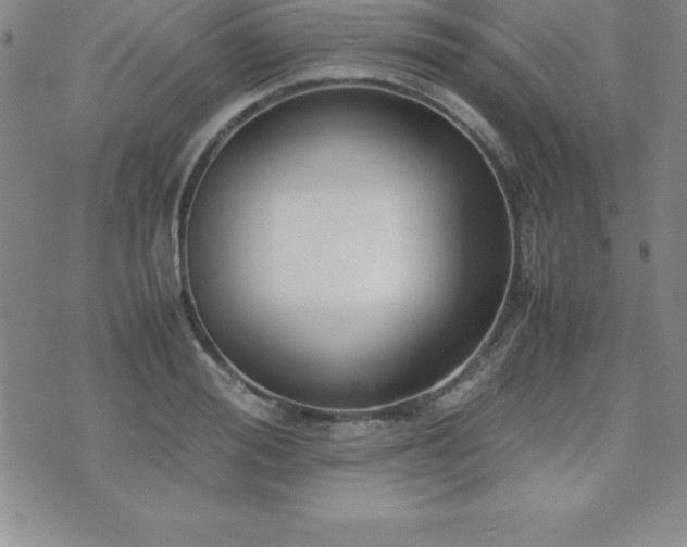 X0000071900988200607071102