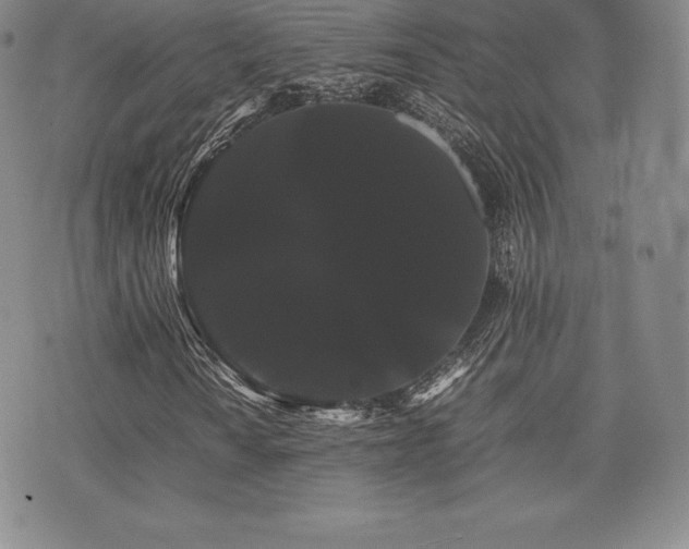 X0000071901010200607071101