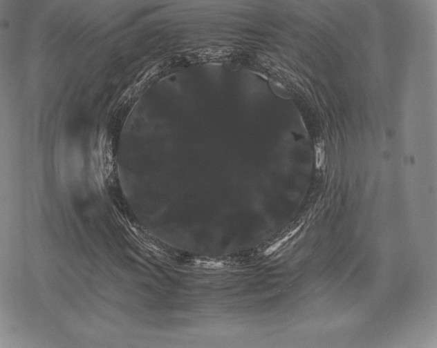 X0000071901011200607071101