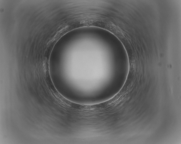 X0000071901012200607071101