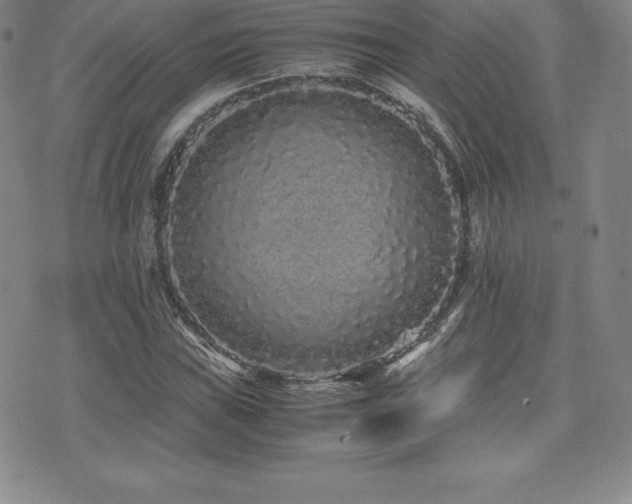 X0000071901019200607071101