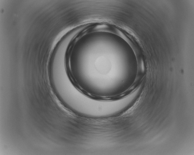 X0000071901030200607071101