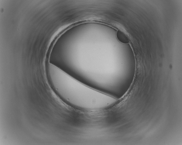 X0000071901032200607071101