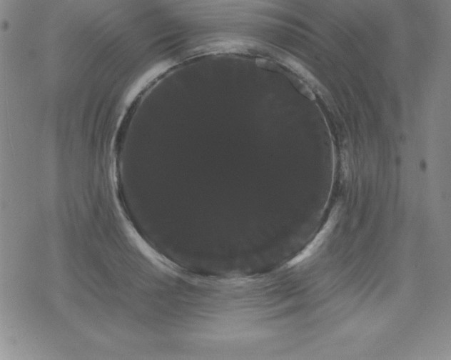 X0000071901034200607071101