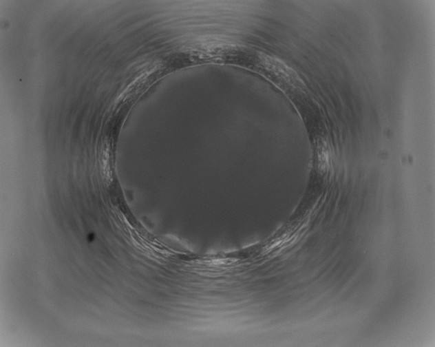 X0000071901060200607071101