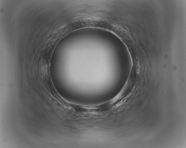 X0000071901061200607071101