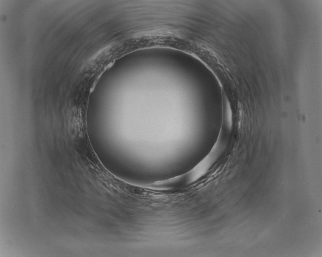 X0000071901062200607071101