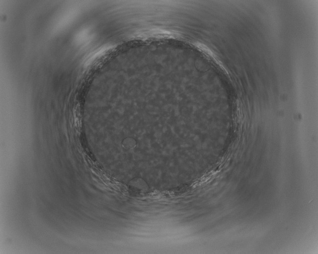 X0000071901063200607071101