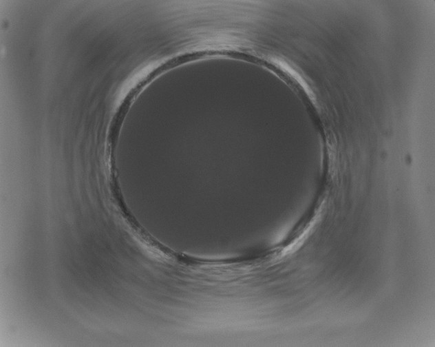 X0000071901077200607071101