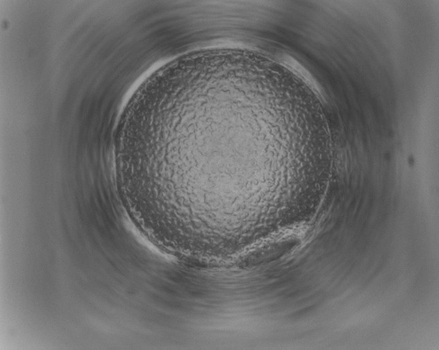 X0000071901092200607071100