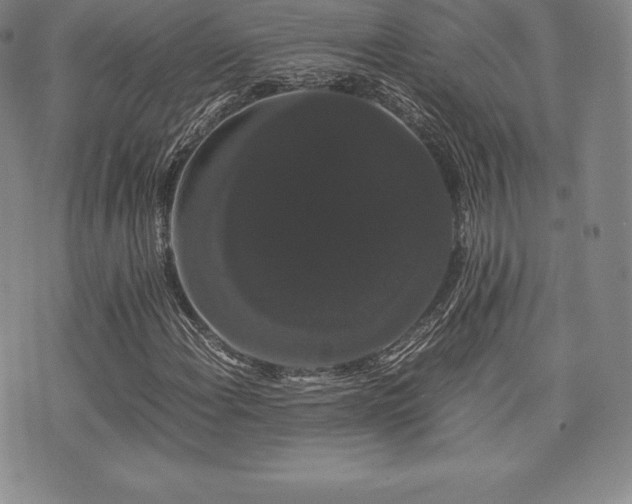 X0000071901108200607071100