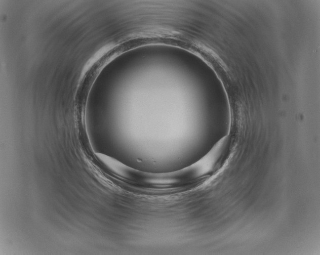 X0000071901114200607071100