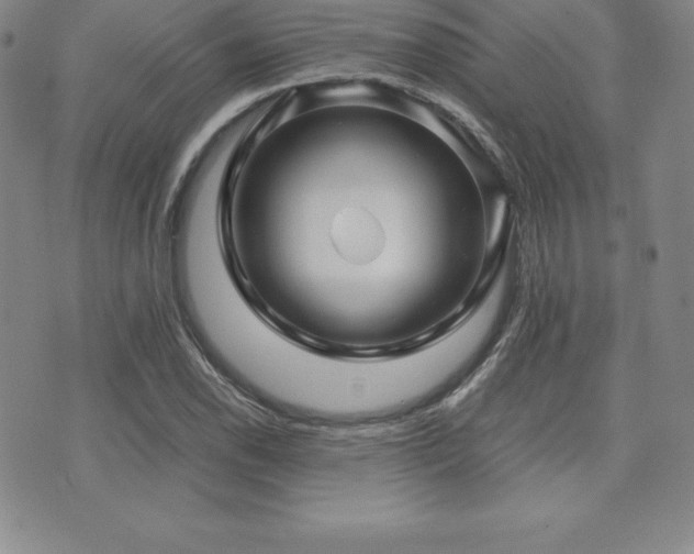 X0000071901118200607071100