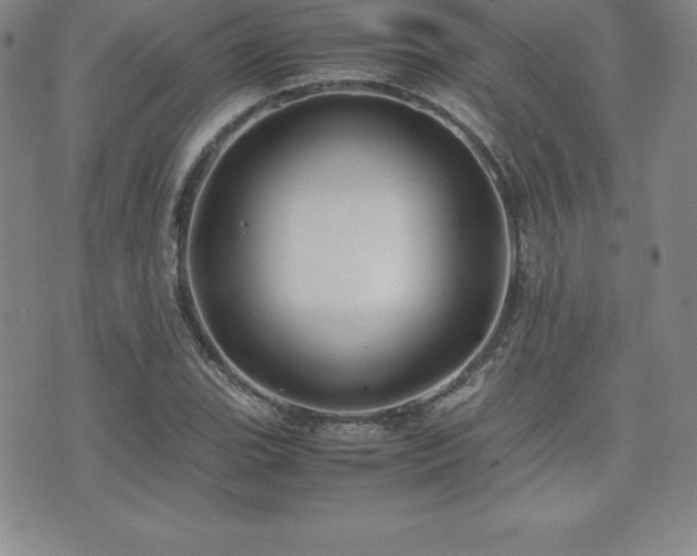 X0000071901119200607071100