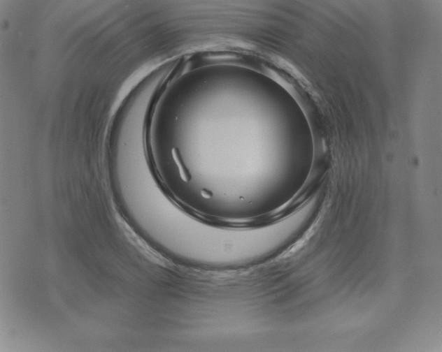 X0000071901122200607071100