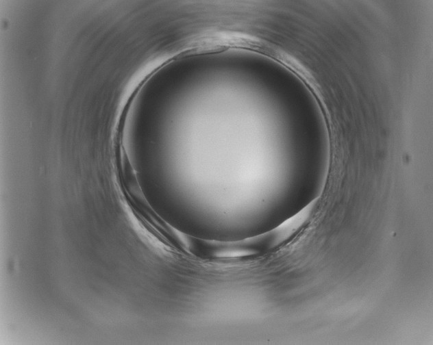 X0000071901152200607071100