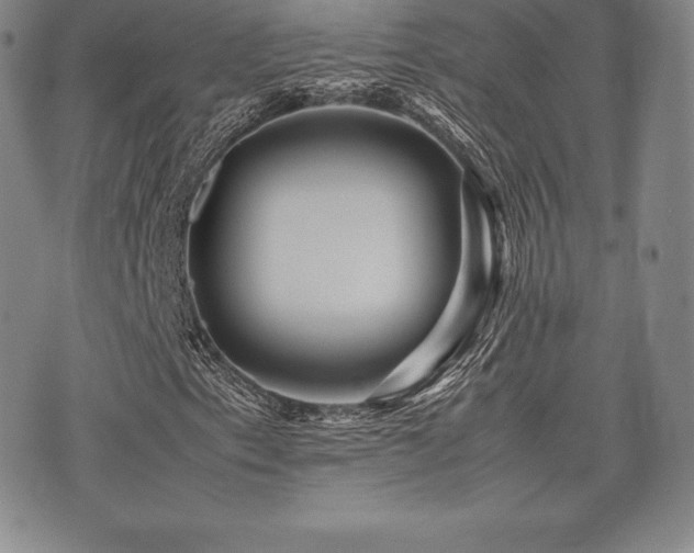X0000071901153200607071059