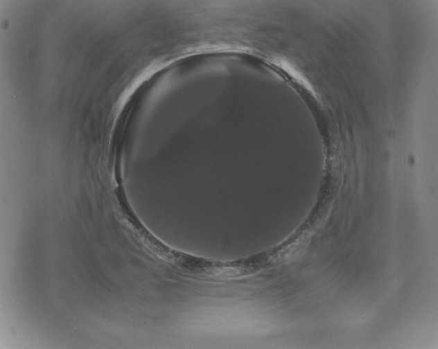 X0000071901173200607071059
