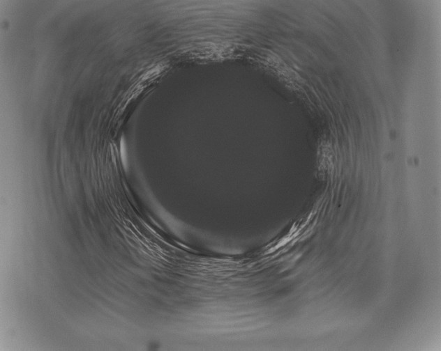 X0000071901202200607071058