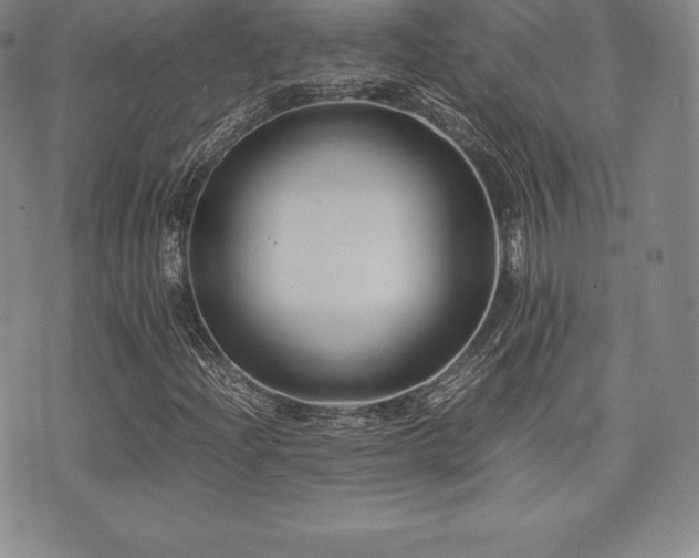 X0000071901204200607071058