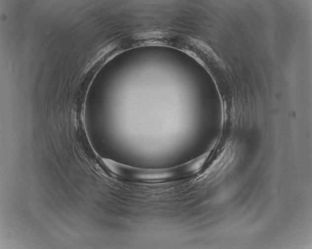 X0000071901209200607071058
