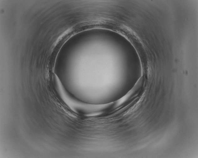 X0000071901210200607071058