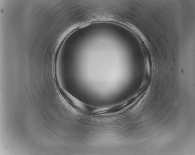 X0000071901246200607071059