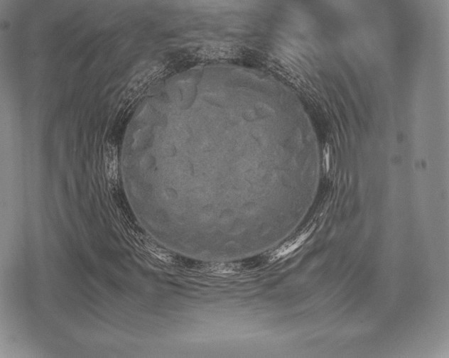 X0000071901251200607071058
