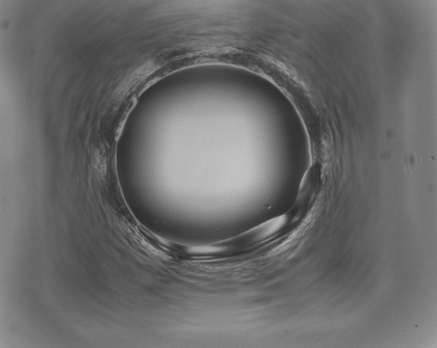 X0000071901257200607071058