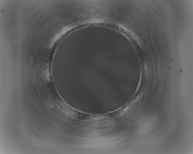 X0000071901262200607071058