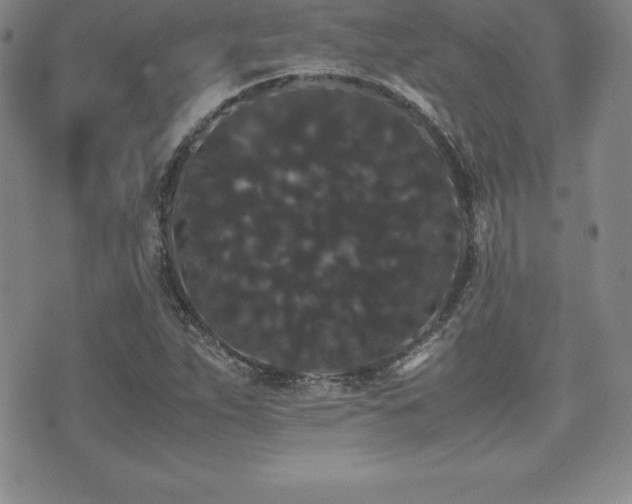 X0000071901263200607071058