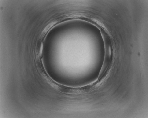 X0000071901273200607071058