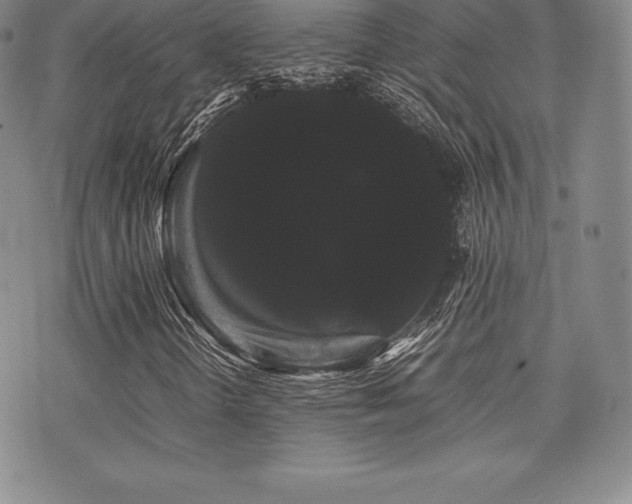 X0000071901298200607071056