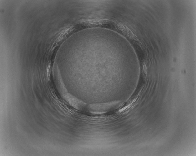 X0000071901300200607071056