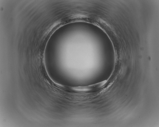 X0000071901313200607071057