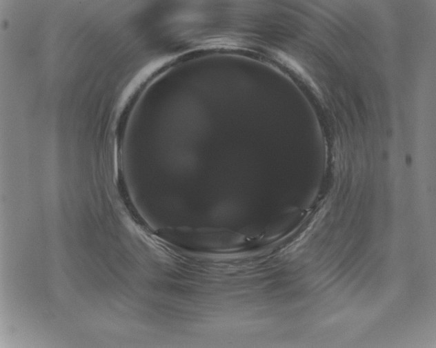X0000071901323200607071057